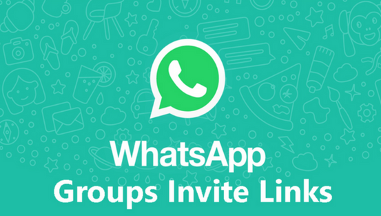 Dragon Shadow Whatsapp Group Links