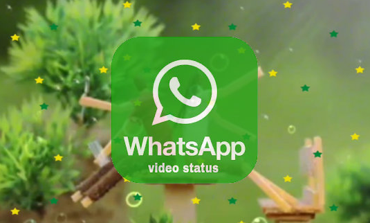 WhatsApp Love Status Videos Download