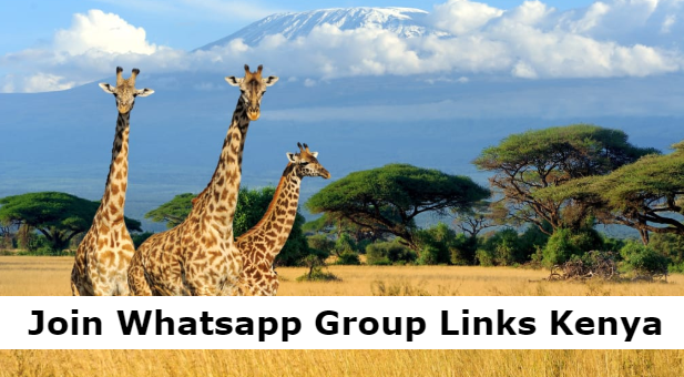 Join Whatsapp Group Links Kenya